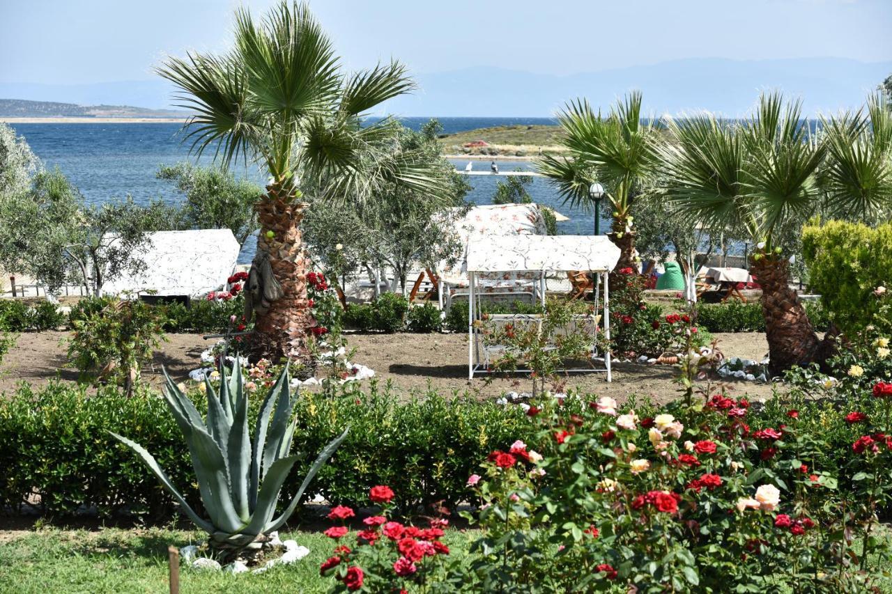 Cunda Asiyan Otel Ayvalı Eksteriør billede